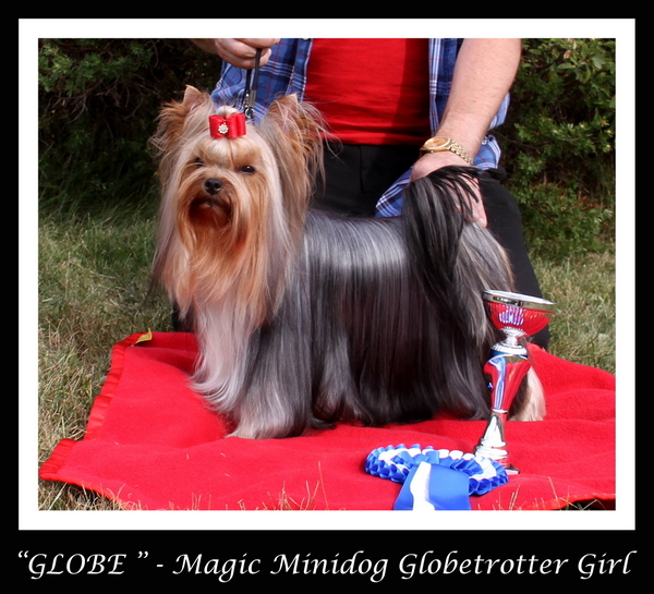 1-Magic_Minidog_Globetrotter_Girl_kansikuva.JPG