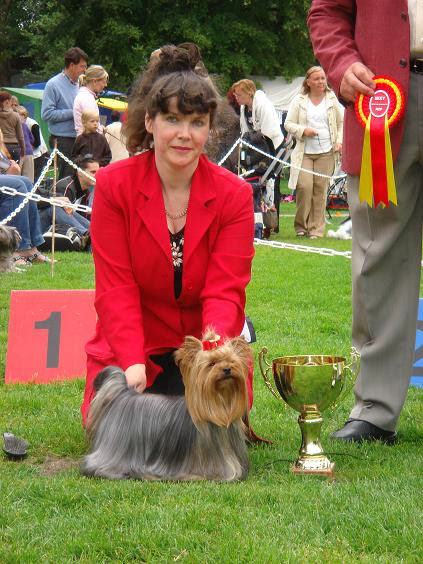 special_9_group_and_yorkshirenterrier_show_bob.jpg